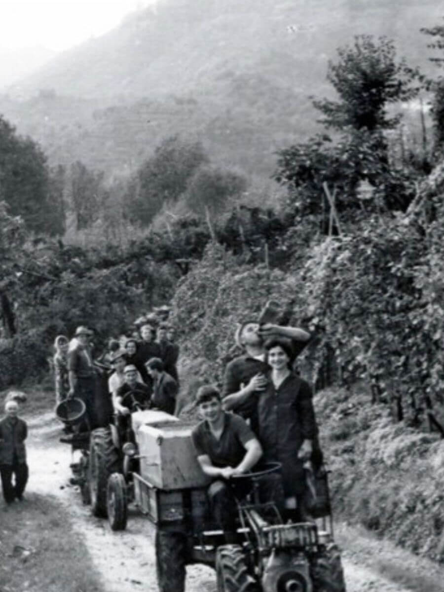 Fotografia storica in bianco e nero dei lavoratori Follador nei vigneti